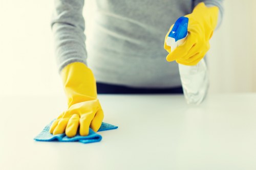 Close-up of carpet cleaning process with extraction equipment