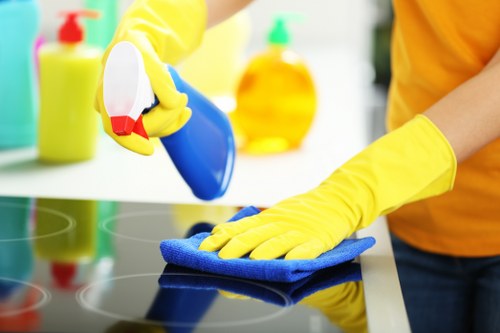 Supervisor reviewing safe carpet cleaning procedures in a property