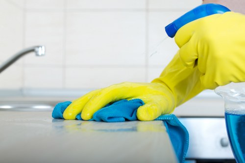 Professional carpet cleaning service in a home interior