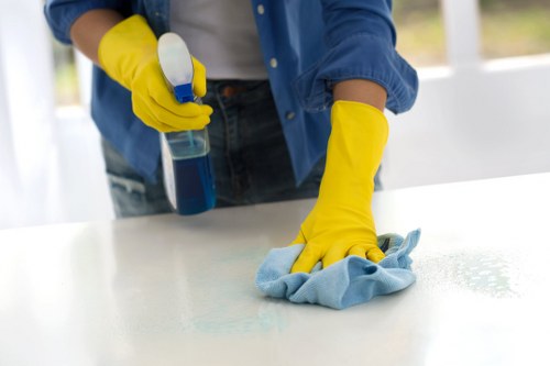 Low-carbon van used for carpet cleaning service