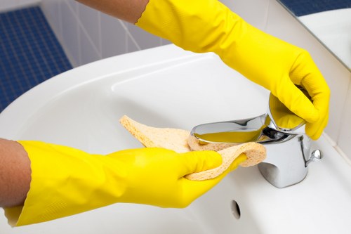 Cleaning solution and protective measures used during carpet care