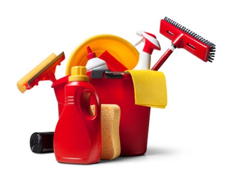 Quality carpet care in Edgware showing detailed cleaning and stain removal services